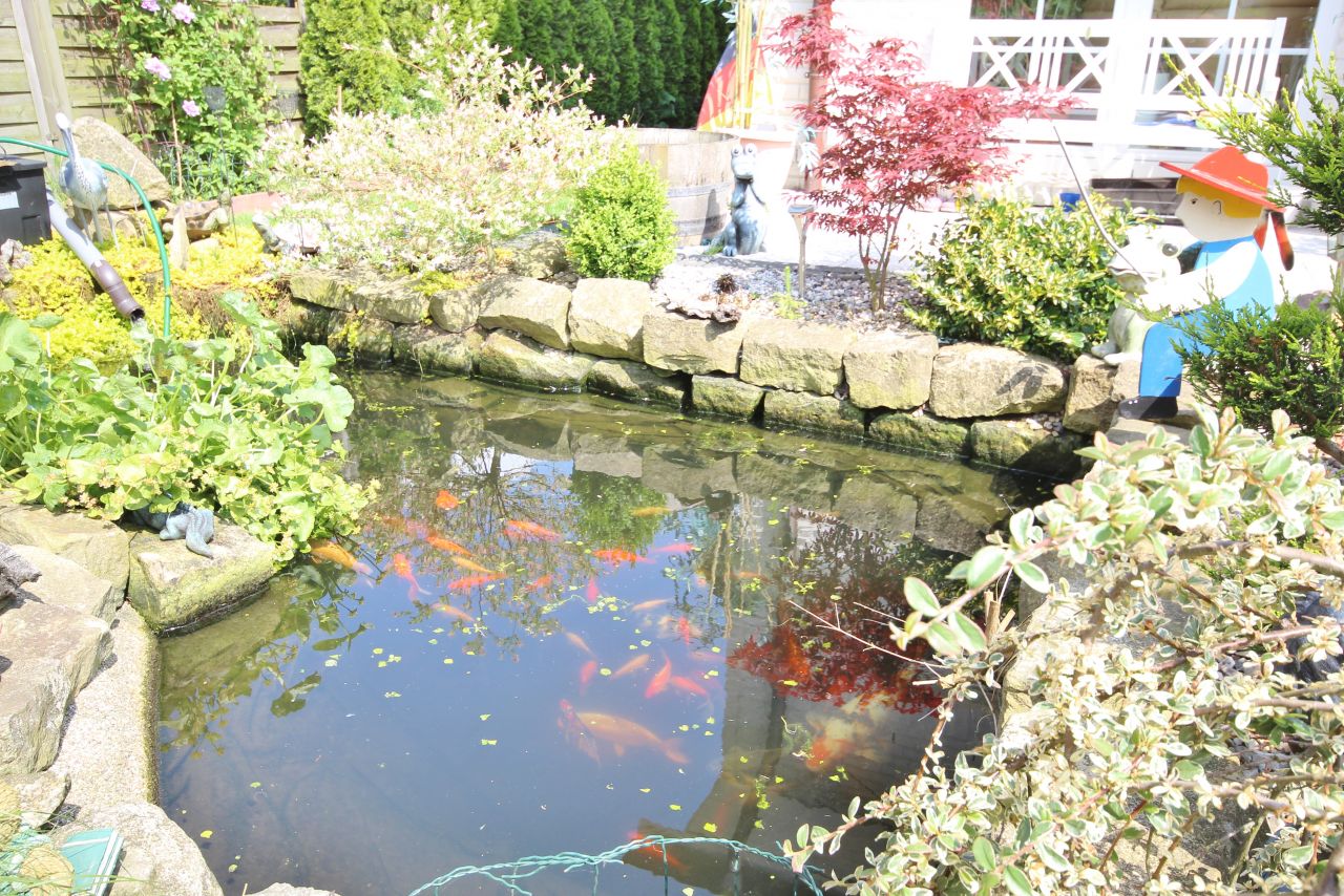 Fischteich mit Naturcharme Fischteich mit Naturcharme